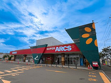 スーパーアークス 東苗穂店 1200m(徒歩15分)