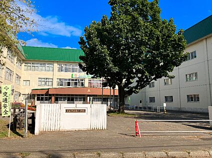 柏小学校 550m(徒歩7分)