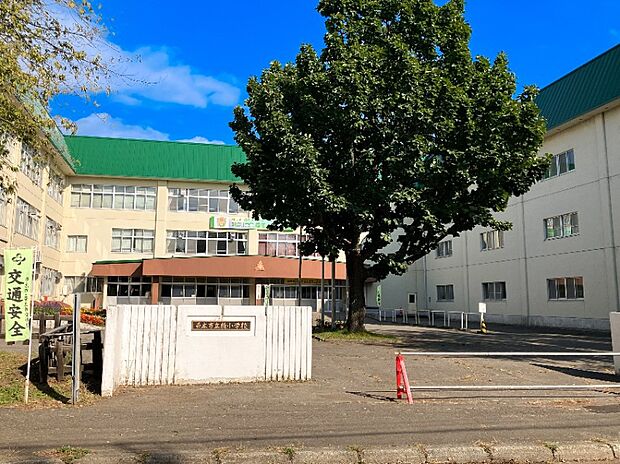 柏小学校（約550m）