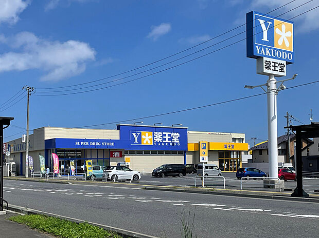 薬王堂八戸田向店（約450m）