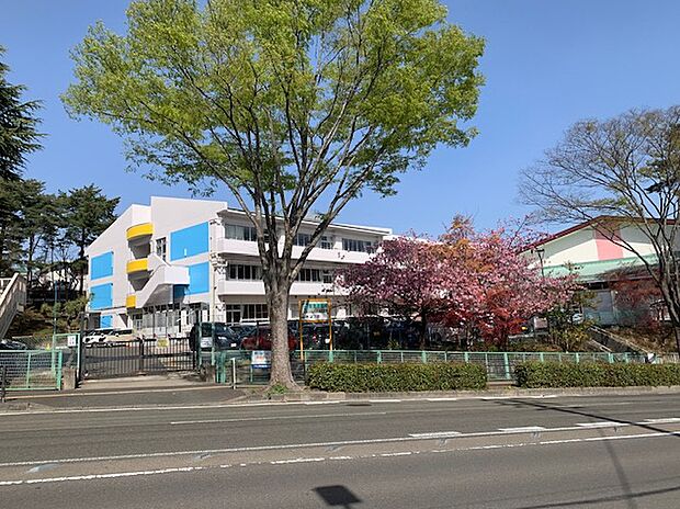 八木山小学校(約230m)