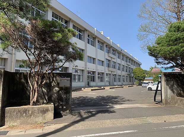八木山中学校(約700m)