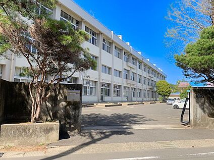 八木山中学校 2000m(徒歩25分)