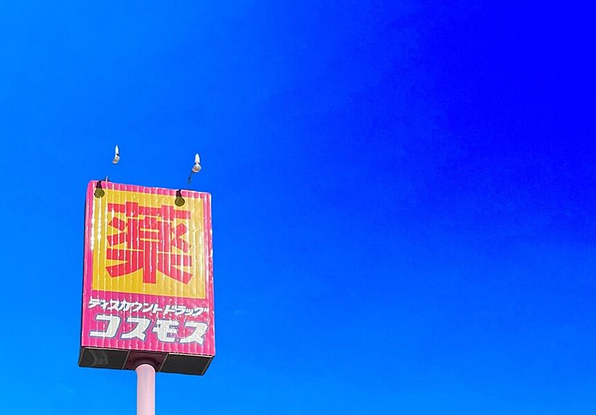【買い物】ディスカウントドラッグコスモス筥松店