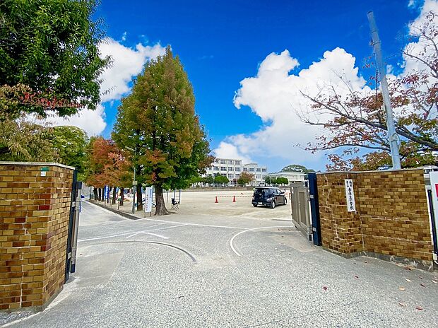福岡市立香住丘小学校(約1,085m)