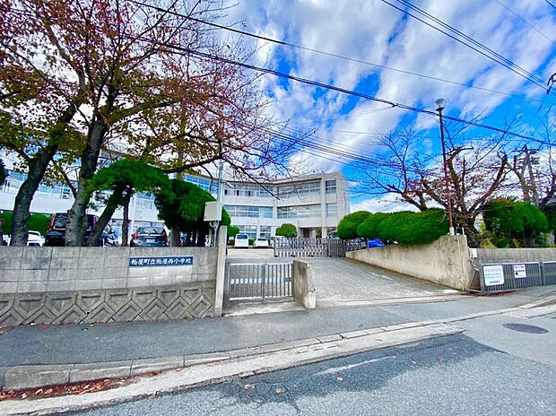 粕屋町立粕屋西小学校(約1,100m)