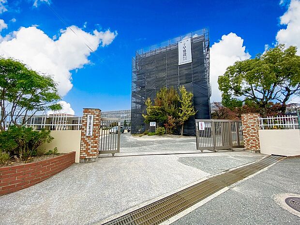 福岡市立舞松原小学校（約240m）