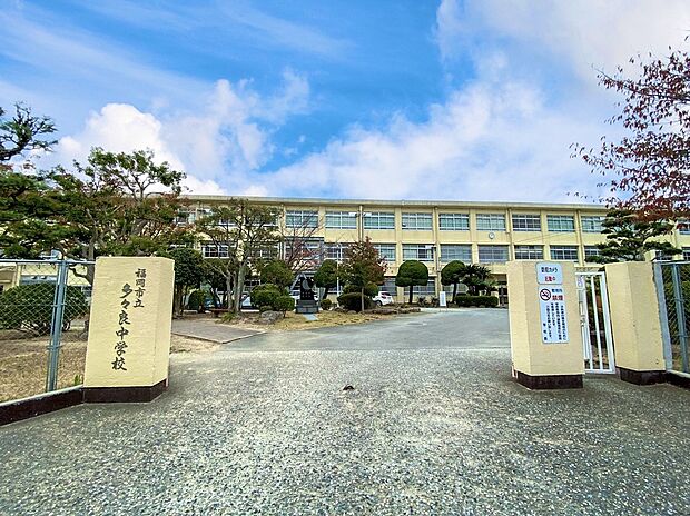 福岡市立多々良中学校（約700m）