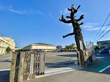 福津市立福間小学校 1600m