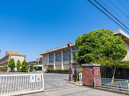佐賀市立鍋島中学校 2308ｍ