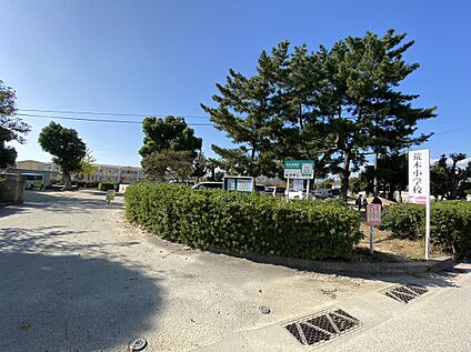 久留米市立荒木小学校 1978m