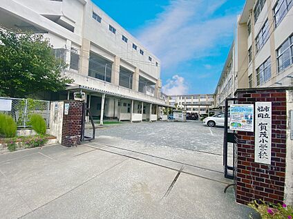 福岡市立賀茂小学校 509ｍ
