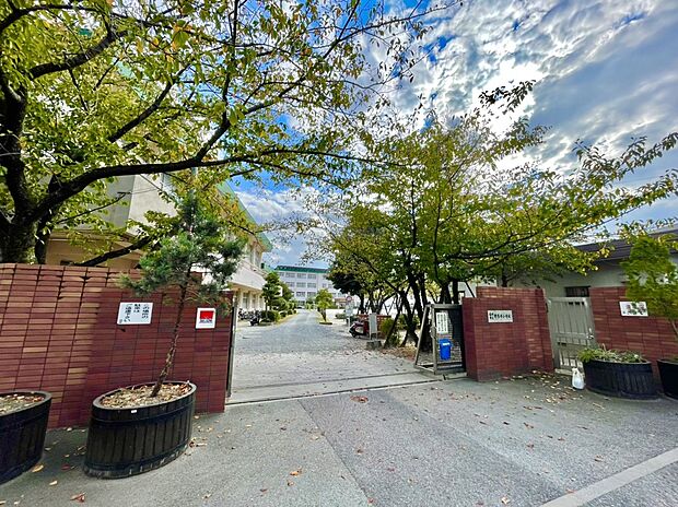 福岡市立野多目小学校 (約1,218m)