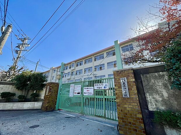 福岡市立東花畑小学校 (約608m)