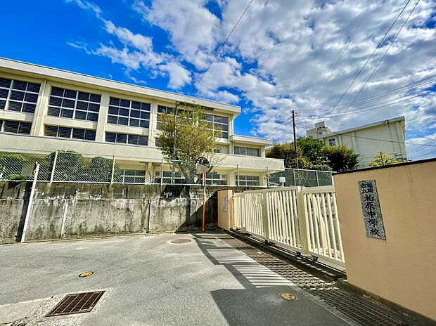 福岡市立柏原中学校(約1,382m)