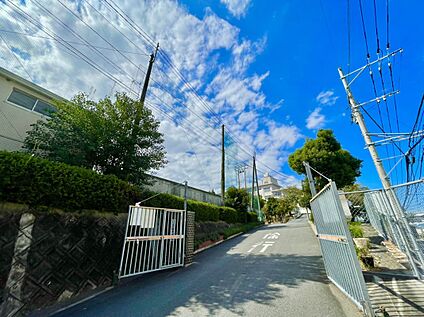 福岡市立花畑中 学校 1232ｍ