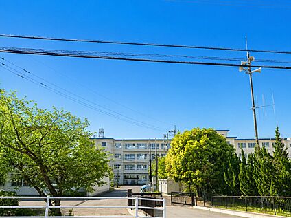 糸島市立波多江小学校 550m