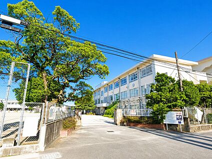 福岡市立今宿小学校 1200ｍ