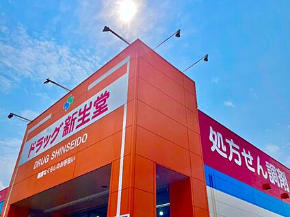 ドラッグ新 生堂五条店  1252m