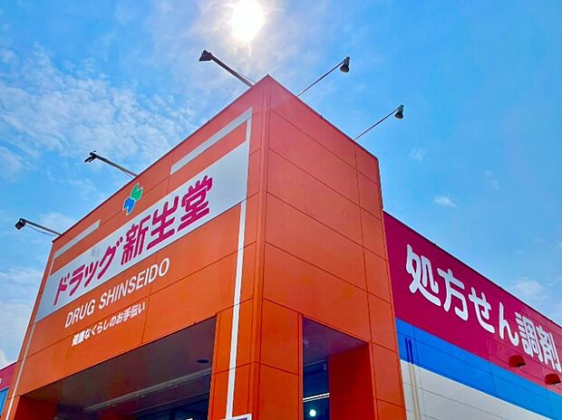 ドラッグ新 生堂五条店 （約1,252m）