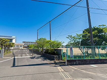 佐賀市立高木瀬小学校 700ｍ