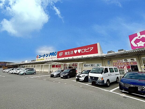 ロピア福岡新宮店(約750m)