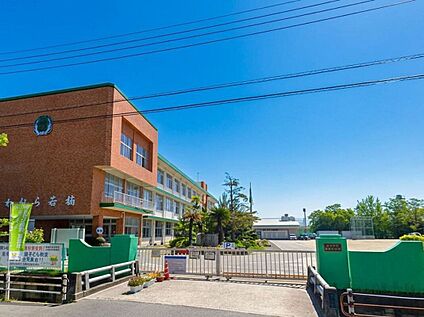 佐賀市立若楠小学校 915m
