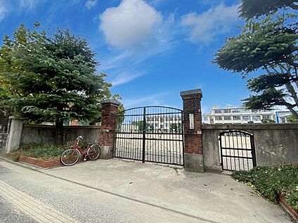 福岡市立箱崎小学校  410m