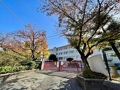 福岡市立筑紫丘中学校 1800m