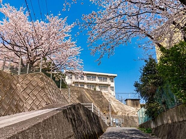 北九州市立南小倉中学校（約650m）