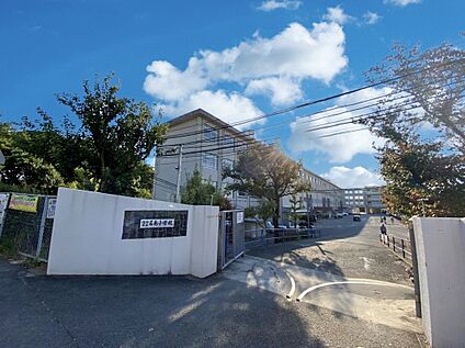 福岡市立名島小学校 600m