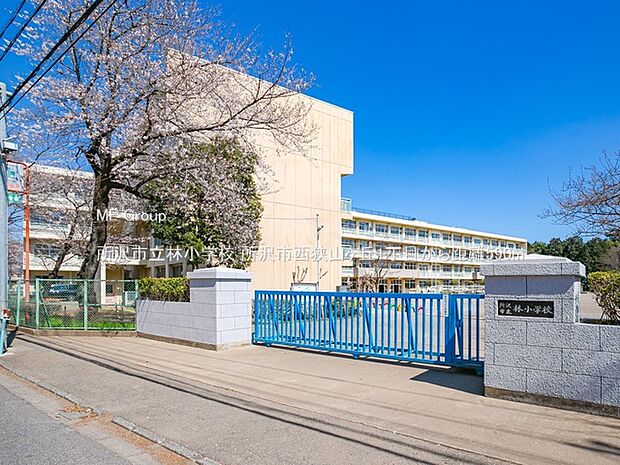 所沢市立林小学校()