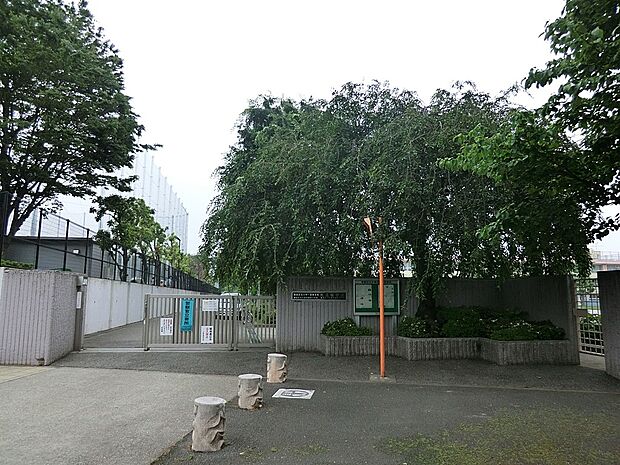 練馬区立大泉学園桜中学校()