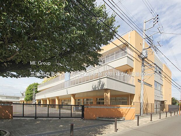 三鷹市立東台小学校(約600m)