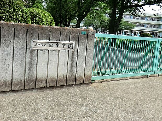 新座市立栄小学校（約500m）