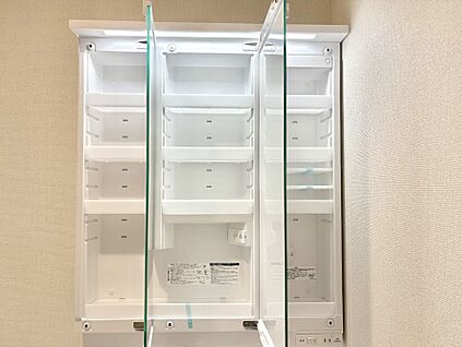 その他設備(三面鏡裏収納)
