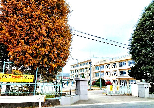 所沢市立西富小学校（約900m・徒歩12分）