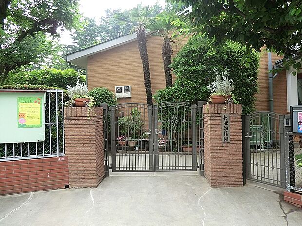 杉並幼稚園(約600m)