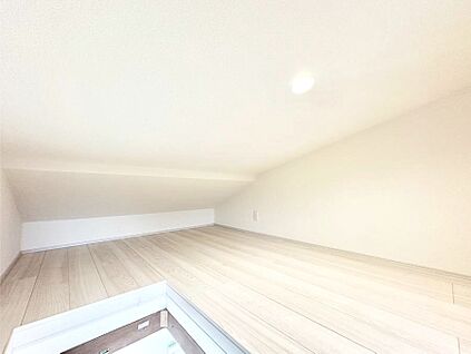 その他設備(小屋裏収納)