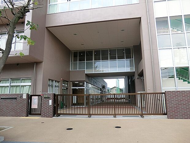 足立区立西新井小学校（約500m）