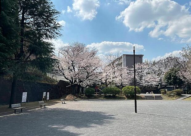向ケ丘公園（約350m）