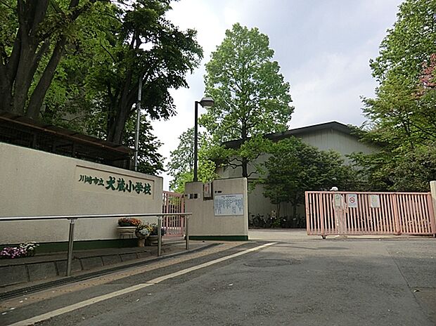 川崎市立犬蔵小学校(約500m)