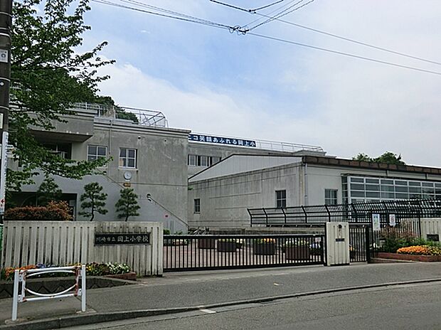川崎市立岡上小学校（約800m）