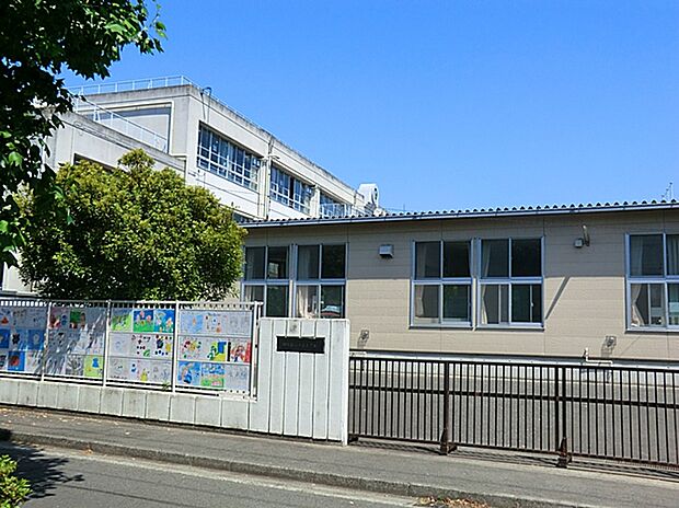 川崎市立小倉小学校（約800m）