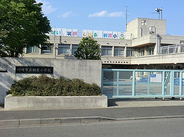 川崎市立稗原小学校(約400m)
