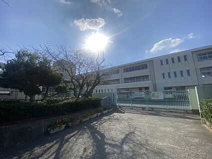 福津市立神興東小学校 約743ｍ(徒歩10分)