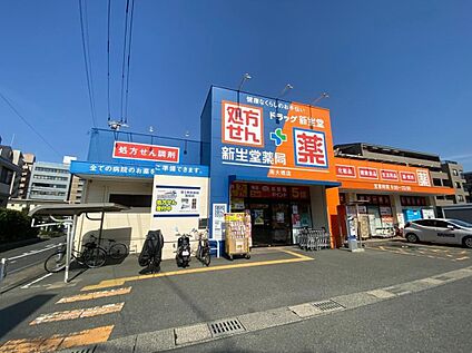 ドラッグ新生堂南大橋店 約1061m(徒歩14分)