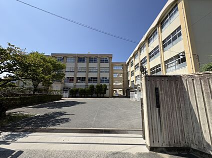 福岡市立城原小学校 約187m(徒歩3分)