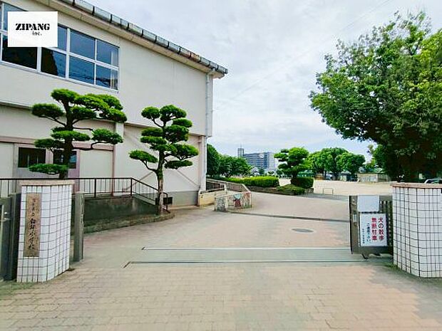 熊本市立白坪小学校