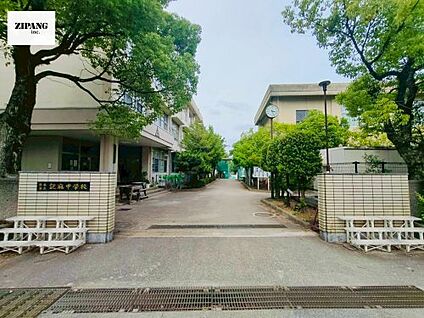 熊本市立託麻中学校 徒歩2324m